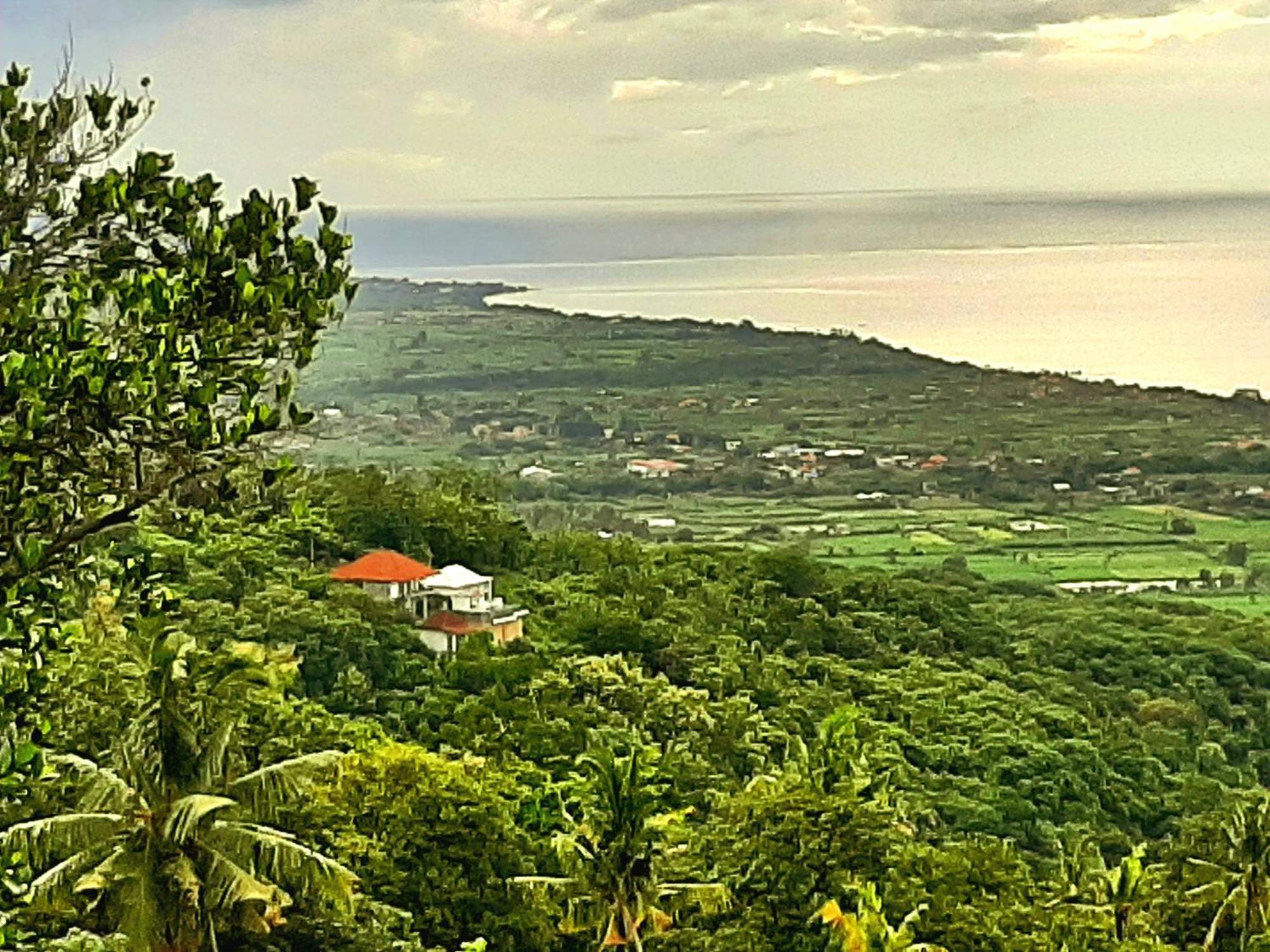 Liri Villa - Ocean, Hills, Valley View Lovina Buitenkant foto
